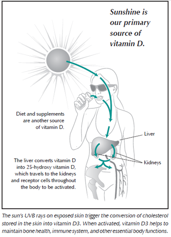 Diagram of how the body converts sunshine into Vitamin D