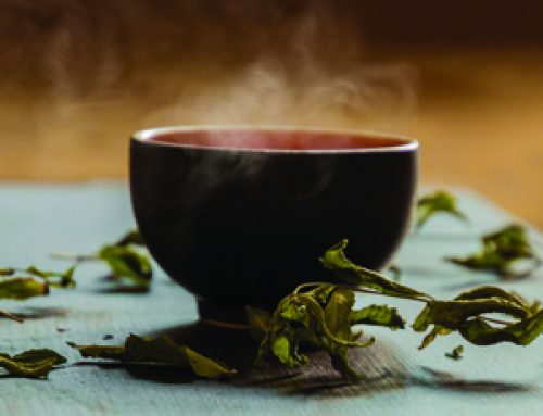 Green Tea for Oral Health