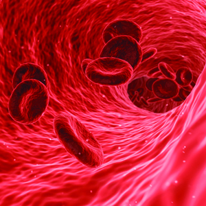 sex hormone binding globulin